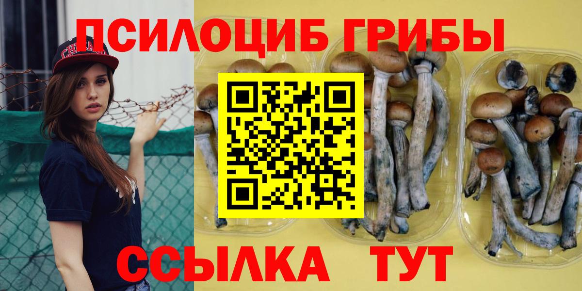 Галлюциногенные грибы Psilocybine cubensis Серпухов