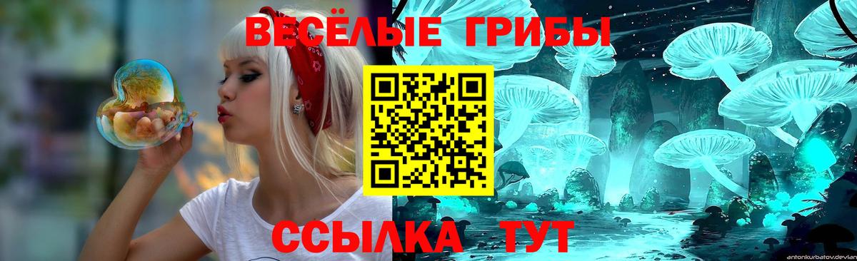 Серпухов  Псилоцибиновые грибы Cubensis  Вход с VPN 